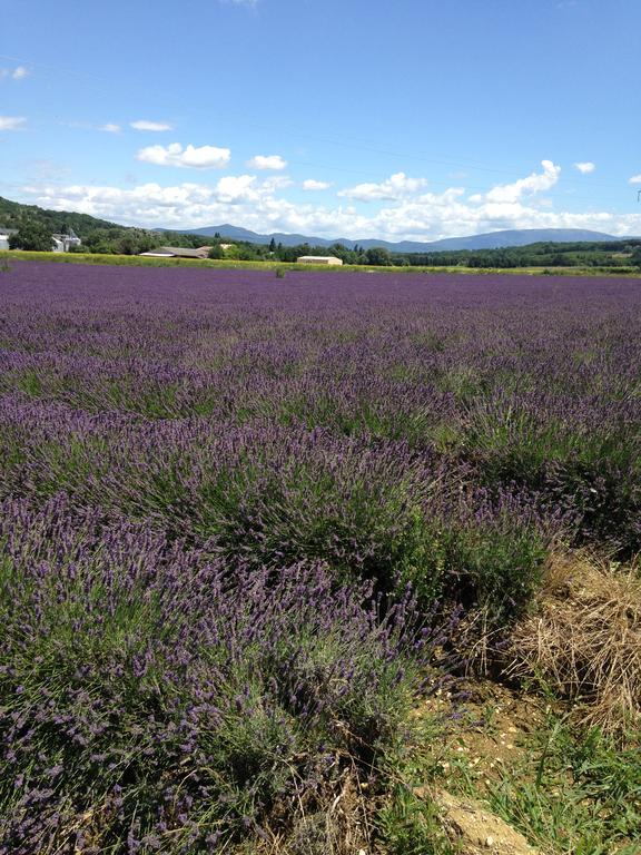 Gite Le Gre Chantemerle-lès-Grignan Exterior foto